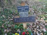 image of grave number 629417